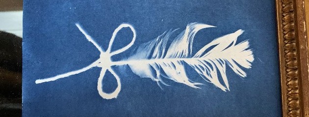 images/cyanotype.jpg